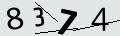 verifycode